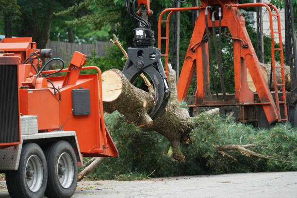 Best Commercial Tree Services  in Skidway Lake, MI